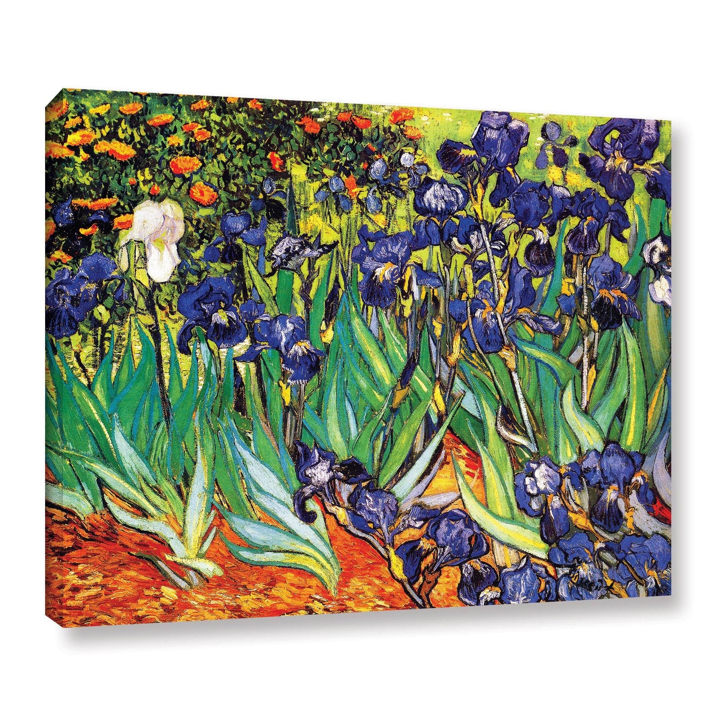 ArtWall Vincent Van Gogh Irises in The Garden Wrapped Canvas Art