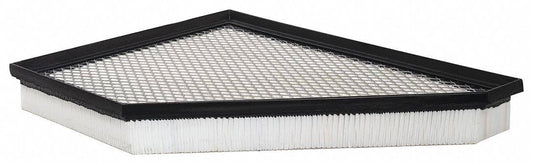 Baldwin Filters Pa10076 Air Filter,14-1/8