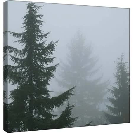 PTM Images,Foggy Morning 1, 20x20, Decorative Canvas Wall Art, Size: 20 x 20, Multicolor