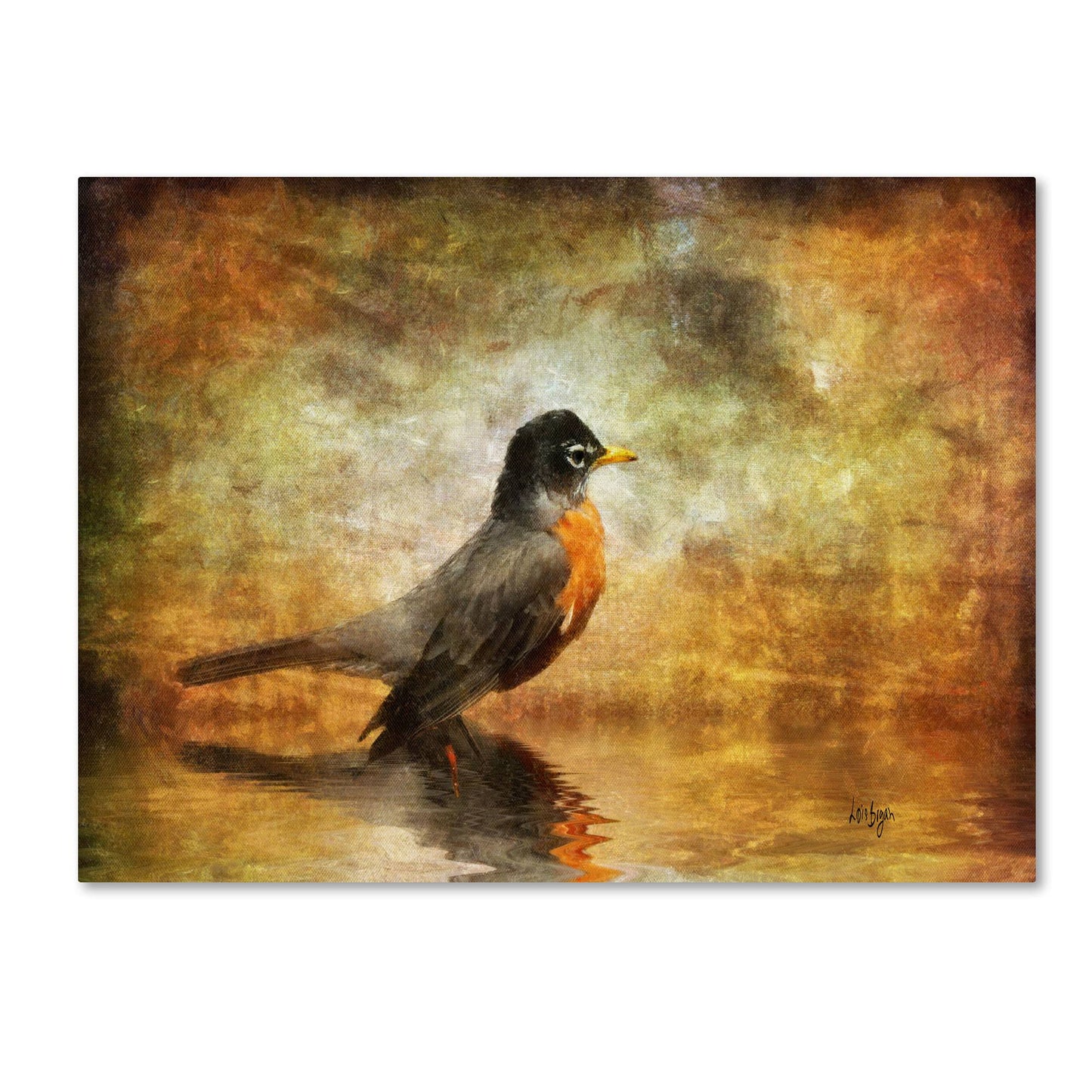 Trademark Fine Art Lois Bryan The Robin Canvas Art