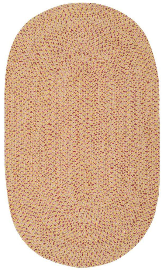 Safavieh Braided BRD164A 3x5 Oval Rug