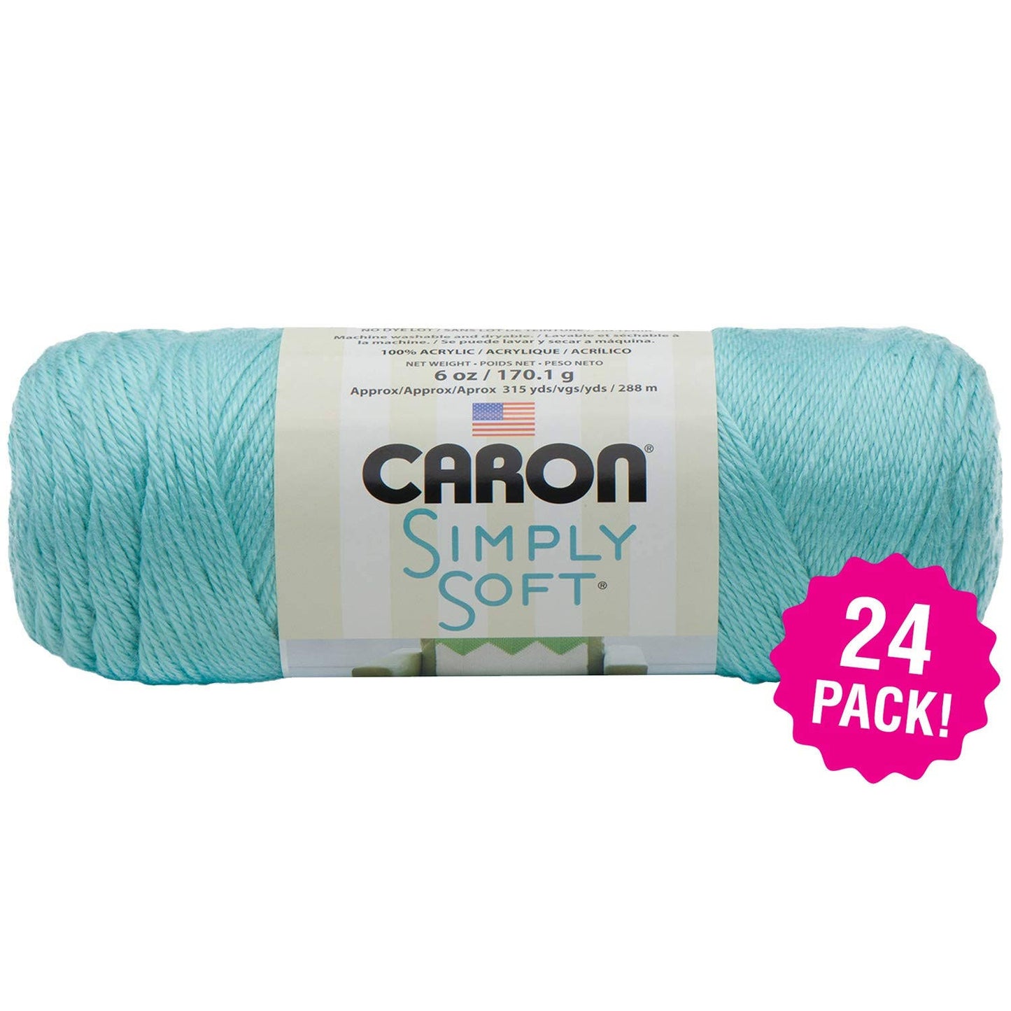 Caron Simply Soft Solids Yarn - Robin&s Egg, Multipack of 24