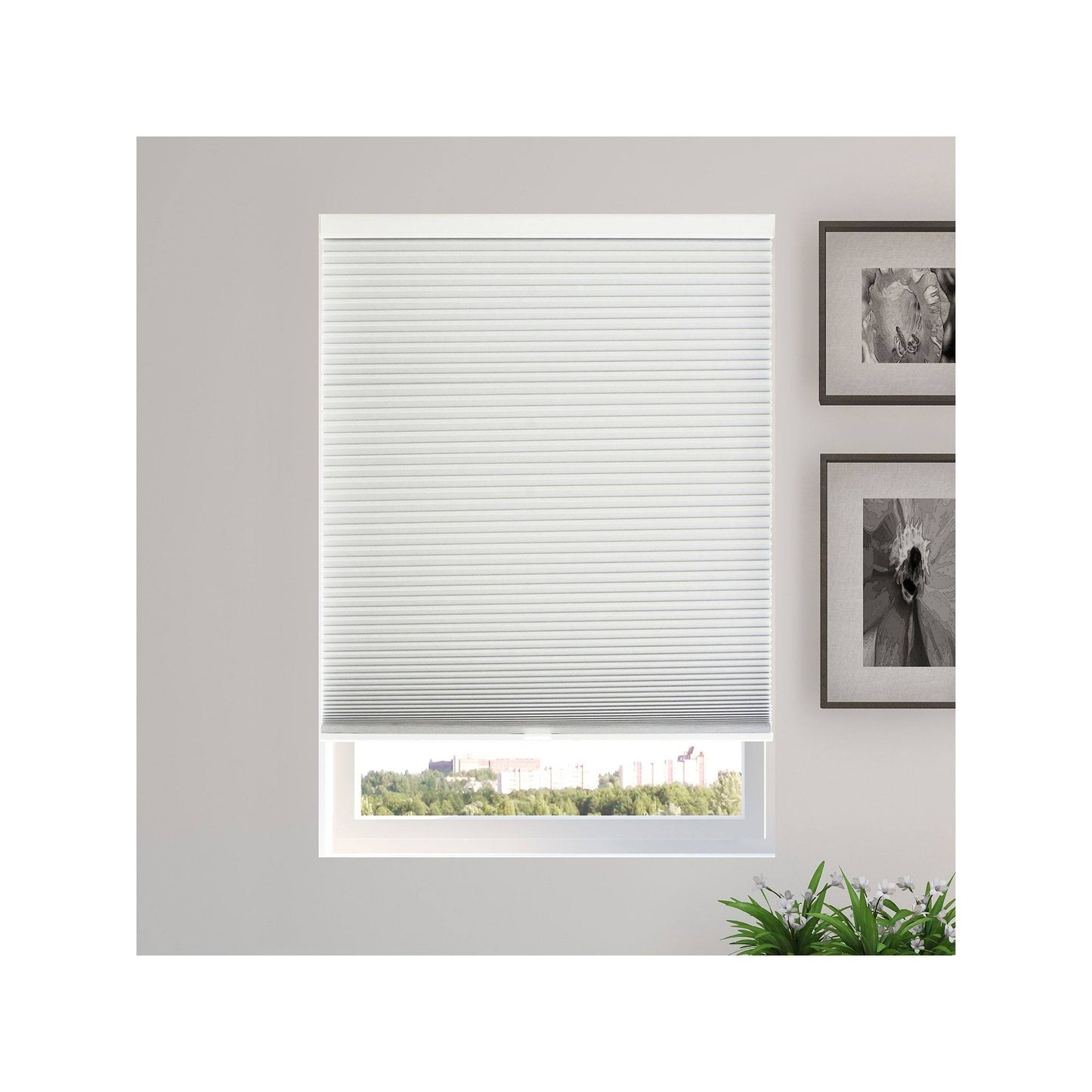 Chicology Cordless Cellular Shades Blackout Window Blind, 64