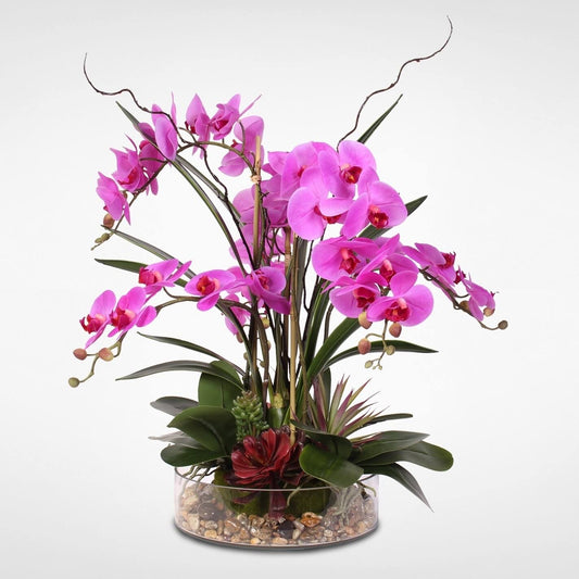 Purple Phalaenopsis Orchid with Succulents and Natural Rocks in Glass Pot