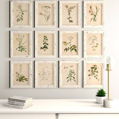 Wild Flower Botanical - 12 Piece Picture Frame Print Set on Paper Laurel Foundry Modern Farmhouse