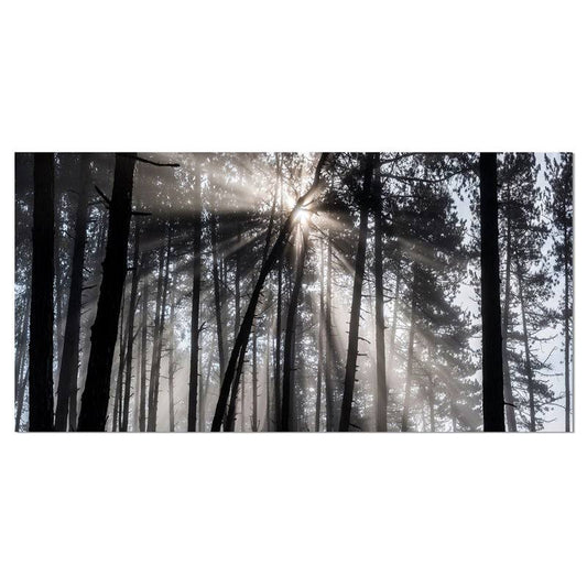 Designart Sunbeams Through Black White Forest  Forest Canvas Wall Art Print, Size 32 inch x 16 inch