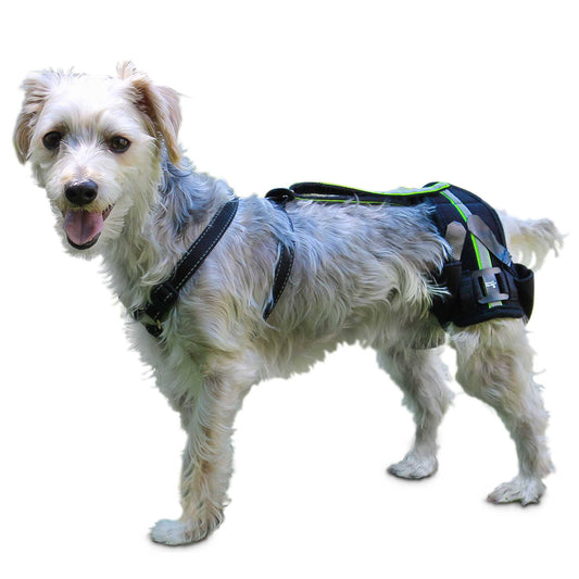 Walkin Hip-EEZ Hip Support System for Dogs, Small