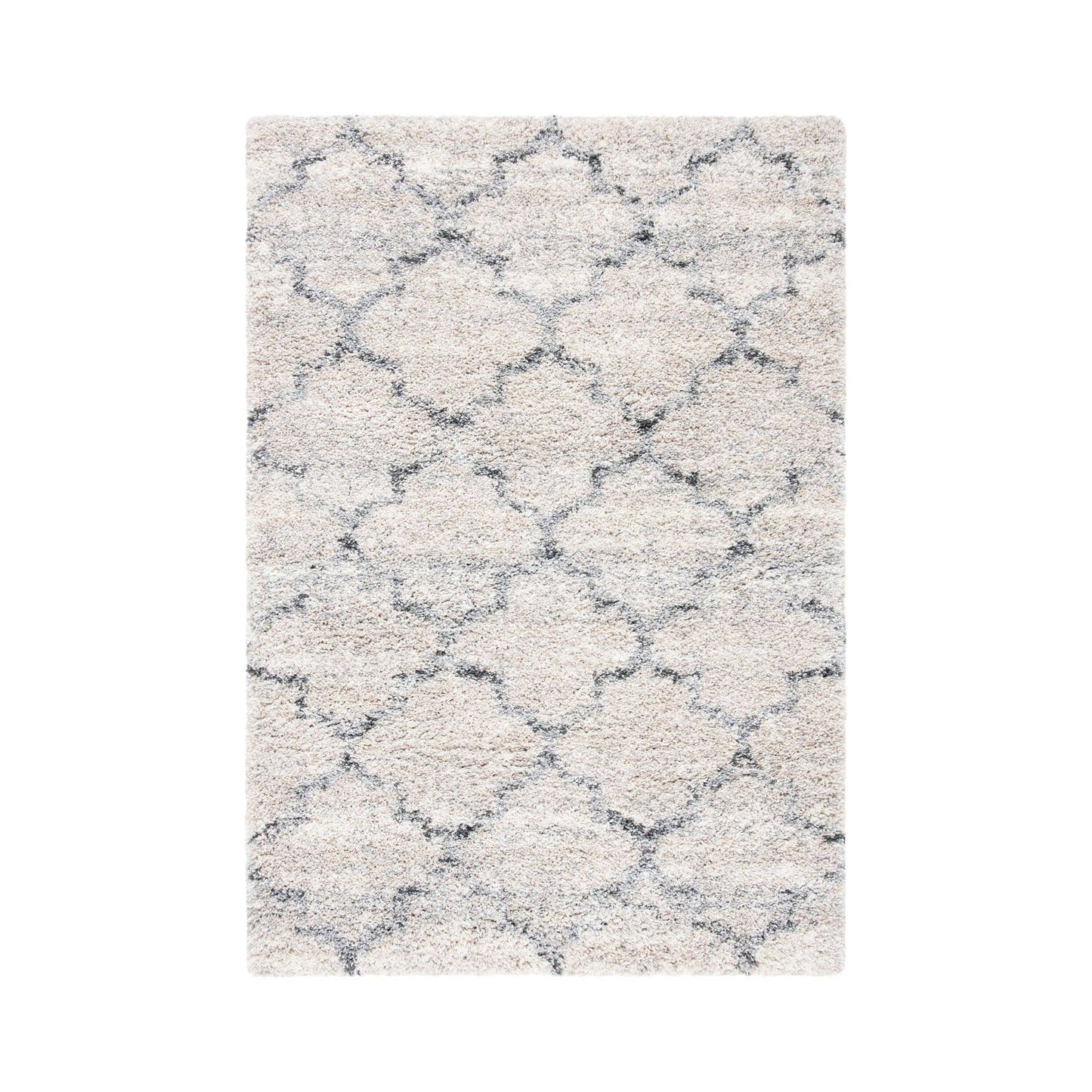 Safavieh Fontana Shag 800 FNT888F Rug 67